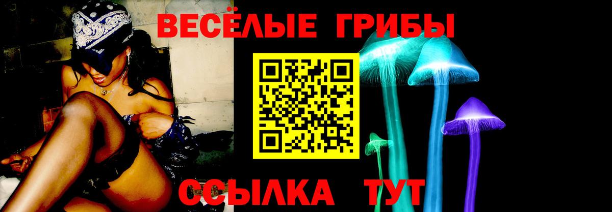 Псилоцибиновые грибы MAGIC MUSHROOMS  Вход с VPN  Гусиноозёрск 